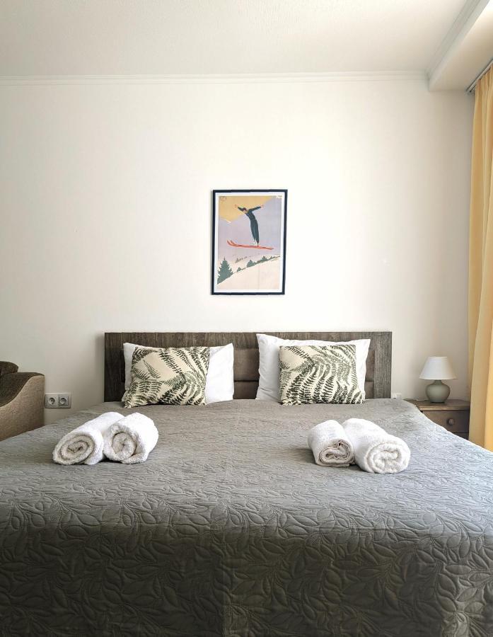 New Gudauri Flat Near Gondola Loft 2 Apartman Kültér fotó